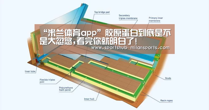 “米兰体育app”胶原蛋白到底是不是大忽悠,看完你就明白了!(图4) MILANSPORT入口