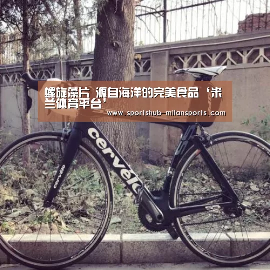 螺旋藻片 源自海洋的完美食品‘米兰体育平台’(图3) 米兰体育app