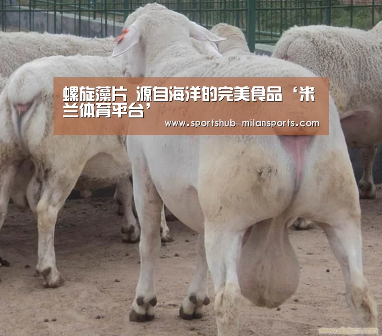 螺旋藻片 源自海洋的完美食品‘米兰体育平台’(图2) 米兰体育app