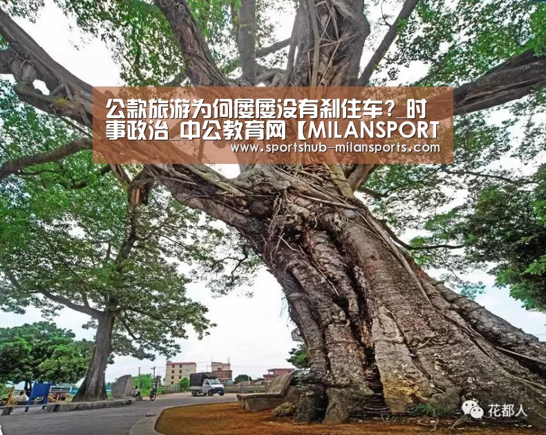 公款旅游为何屡屡没有刹住车?_时事政治_中公教育网【MILA