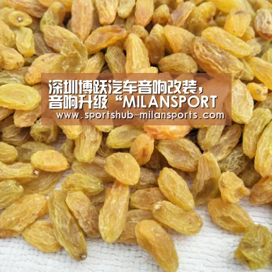 米兰体育app