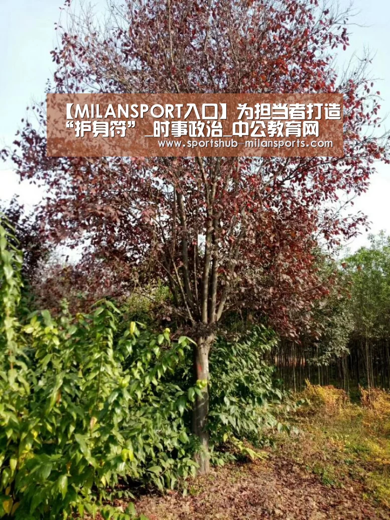 【MILANSPORT入口】为担当者打造“护身符”_时事政治
