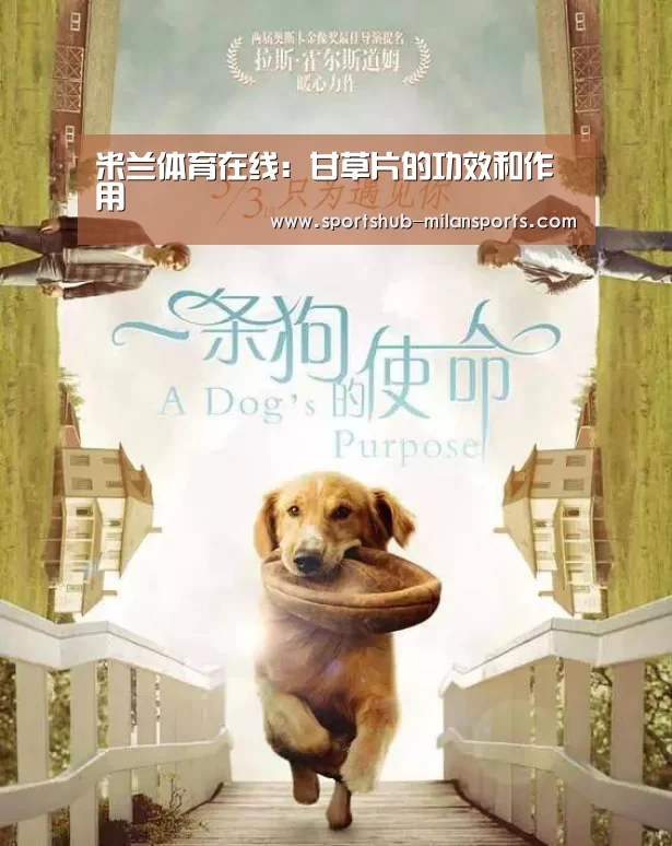 米兰体育在线