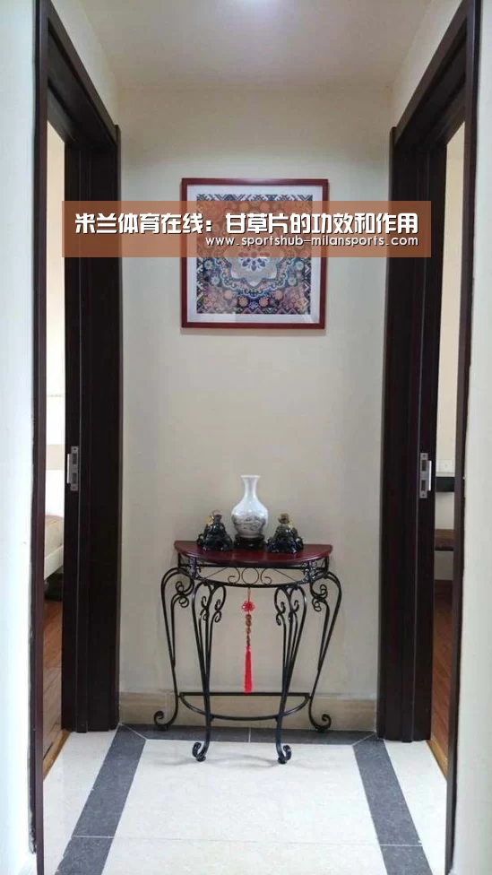 米兰体育app